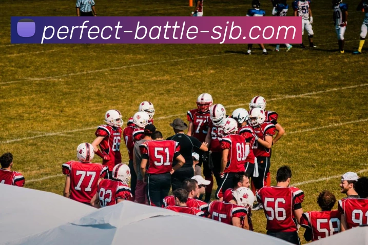 完美电竞 Elite，完美电竞官网，完美电竞平台，完美电竞APP，完美电竞下载APP 体育赛事宣传图